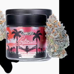 Connected Flower - Hitchhiker (H) (3.5g) Connected Flower - Hitchhiker (H) (3.5g)