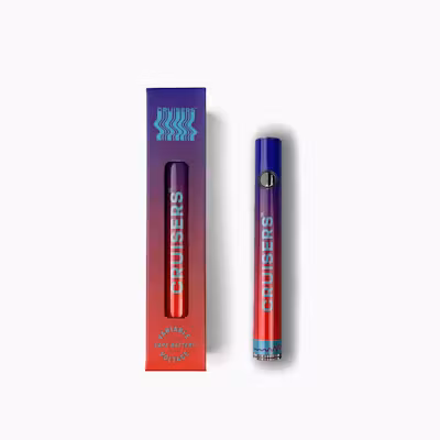 Cruiser Control Variable Voltage Battery Cruiser Control Variable Voltage Battery
