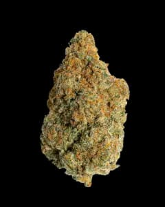 Deep Fried Ice Cream Deep Fried Ice Cream