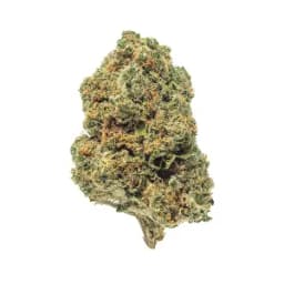 California Cherry Pie No1 Plat California Cherry Pie No1 Plat