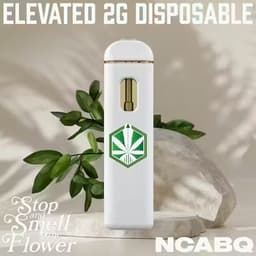 Elevated - 2g Disposable Cart - Green Crack Elevated - 2g Disposable Cart - Green Crack