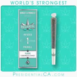 Presidential Moon Rock Preroll - Classic (1g) Presidential Moon Rock Preroll - Classic (1g)