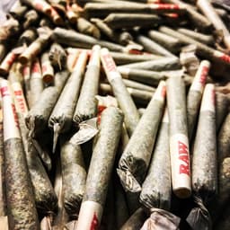PRE-ROLL 10 PACK PRE-ROLL 10 PACK