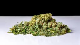 SC | Count Chunkula | hybrid SC | Count Chunkula | hybrid
