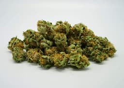 Garlic Breath (H) By Best Buds Garlic Breath (H) By Best Buds