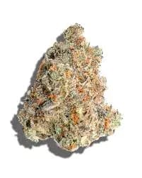 Plastic 3.5g | Hybrid Plastic 3.5g | Hybrid
