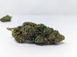Marmalade OG Marmalade OG
