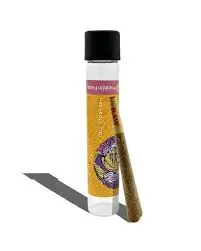 Cad X I-95 Preroll 1g Cad X I-95 Preroll 1g