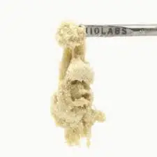 Persy Water Hash - Bad Apple #7 Persy Water Hash - Bad Apple #7