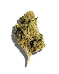 SUNGROWN HIP HOP KUSH BUDS/TRIM 3.5G SUNGROWN HIP HOP KUSH BUDS/TRIM 3.5G