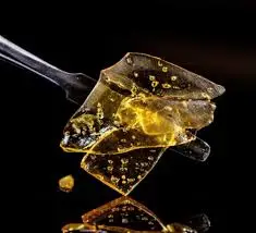 Everyday Shatter Extract - Fig OG 1g | Crystalline Everyday Shatter Extract - Fig OG 1g | Crystalline
