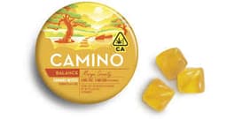 Camino | Mango Gummies | 1:1 THC:CBD | 200mg Camino | Mango Gummies | 1:1 THC:CBD | 200mg