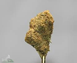 Apothecary Gorilla Bomb 1 x1g Apothecary Gorilla Bomb 1 x1g