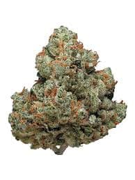 ChemDawg ChemDawg