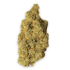 PLATINUM KOOKIE PLATINUM KOOKIE