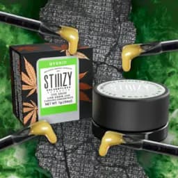 Platinum Cookies | Live Rosin Jam Platinum Cookies | Live Rosin Jam