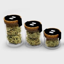 Pineapple Burnwell Biggie Smalls Pineapple Burnwell Biggie Smalls