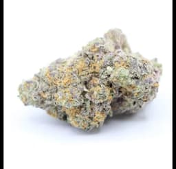 Cream Mintz Flower by Giving Tree Gardens Cream Mintz Flower by Giving Tree Gardens