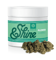 Soul Mate #8 &Shine Soul Mate #8 &Shine