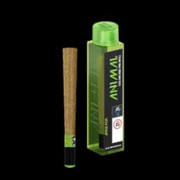 Infused Apple Pop - Single (1.0g) Infused Apple Pop - Single (1.0g)