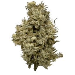 Khalifa Mints Khalifa Mints