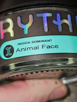 Animal Face Animal Face