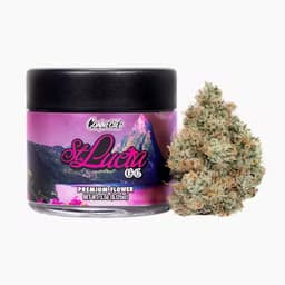 St. Lucia OG - Indoor St. Lucia OG - Indoor