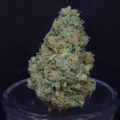 BAM Alaska PFD #10 3.5g Flower BAM Alaska PFD #10 3.5g Flower