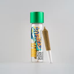 Blueberry Pancakes FJ-Mini 0.6g Infused Preroll | Jetpacks | Pre Roll Infused Blueberry Pancakes FJ-Mini 0.6g Infused Preroll | Jetpacks | Pre Roll Infused