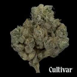 Hippie Crasher - 3.5g Premium Flower Hippie Crasher - 3.5g Premium Flower