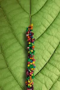 Mota Bubble Bits Rope Mota Bubble Bits Rope
