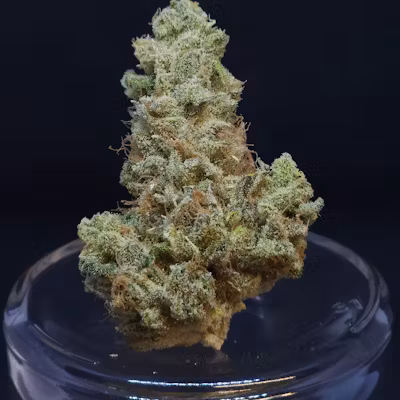 Scuba's KeyLime OG 1g Flower Scuba's KeyLime OG 1g Flower