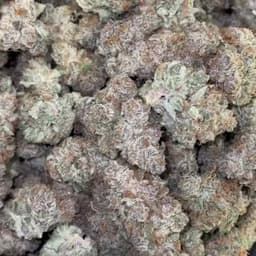 Sundae XTC -1g Sundae XTC -1g