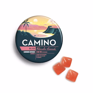 Watermelon Lemonade Gummies 20 Pack | Camino | Edible Watermelon Lemonade Gummies 20 Pack | Camino | Edible