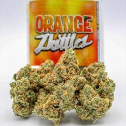 Orange Zkittles Orange Zkittles
