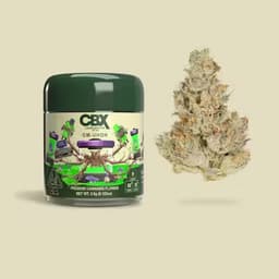 Cannabiotix Cereal Milk Tier 2 Cold Cure Rosin Cannabiotix Cereal Milk Tier 2 Cold Cure Rosin