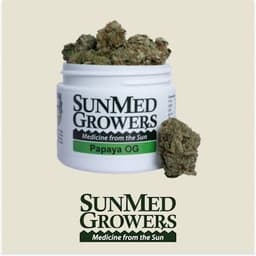 Papaya OG Flower (3.5g) Papaya OG Flower (3.5g)