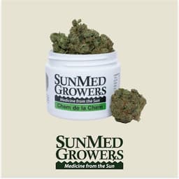 Chem de la Chem Flower (3.5g) Chem de la Chem Flower (3.5g)