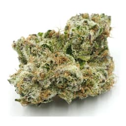 Inadaze | Bubblegum Runtz Premium 1/8 Inadaze | Bubblegum Runtz Premium 1/8