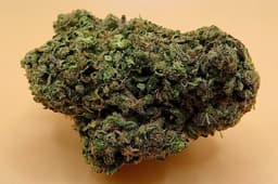 Modified Grape Modified Grape