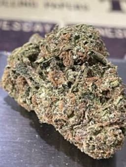 SOUR TANGIE 28g OZ SATIVA on SALE SOUR TANGIE 28g OZ SATIVA on SALE