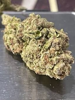 APPLE BANANAS 3.5g HYBRID APPLE BANANAS 3.5g HYBRID