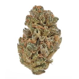 Apricot Scone 8th 3.5g Apricot Scone 8th 3.5g