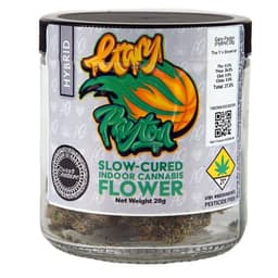 Gary Payton Agro Couture Gary Payton Agro Couture