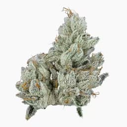 Green Dot Labs Black Label $@%&! Cake 3.5 g Green Dot Labs Black Label $@%&! Cake 3.5 g