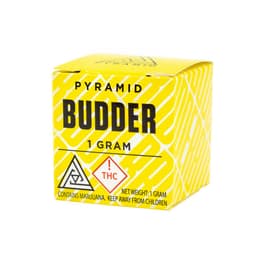 GRAPE BUBBLEGUM - BUDDER GRAPE BUBBLEGUM - BUDDER