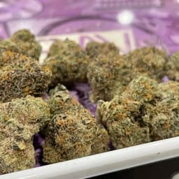 Truffles - Green Truffles - Green