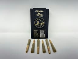 Canna Cure - Biscotti (I) - 23.99% - 6pk Pre roll - .5g Canna Cure - Biscotti (I) - 23.99% - 6pk Pre roll - .5g