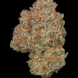 AK Cookies 1g Flower AK Cookies 1g Flower