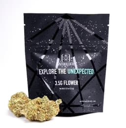 Anthologie l Tasty Trees l 3.5g Anthologie l Tasty Trees l 3.5g